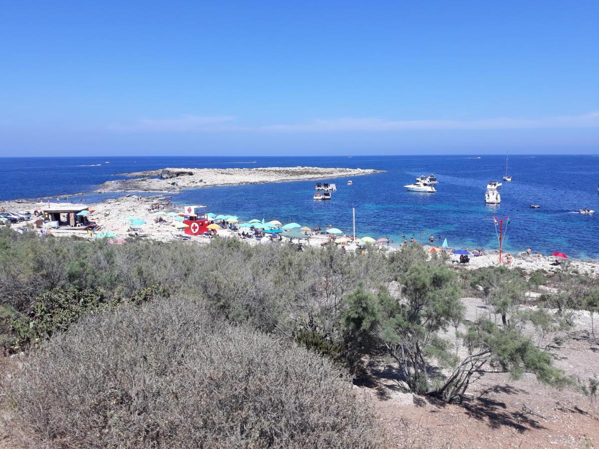 Sunshine Holiday Apartment 5 With Spectacular Seaviews セント・ポールズ・ベイ エクステリア 写真
